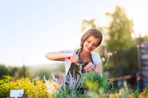 Lush green garden maintained by professionals in London