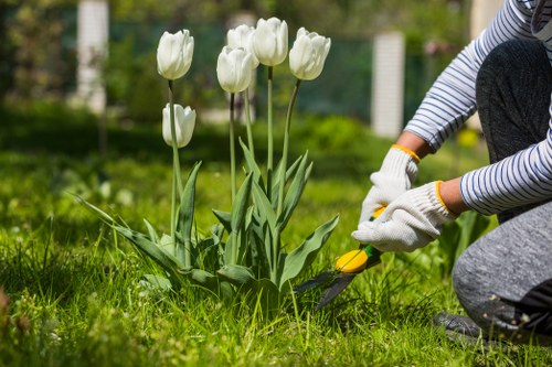 Gardener assessing an accessible London garden entrance