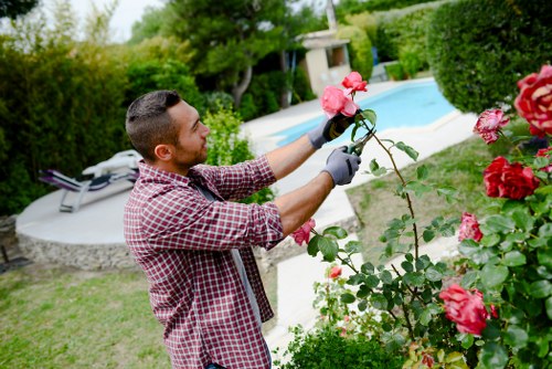 Front view of a gardener assessing a garden, clipboard in hand