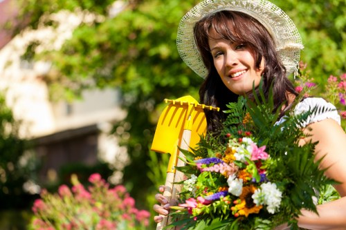 Neatly trimmed hedge enhancing garden appeal