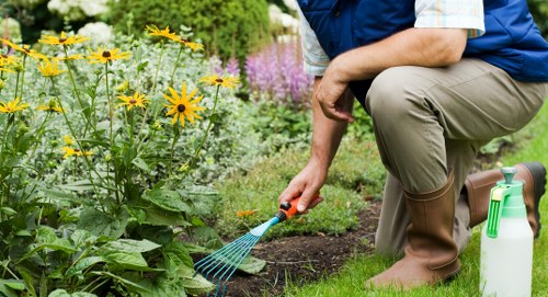 Hand tools and wheelbarrow at the start of a garden overhaul