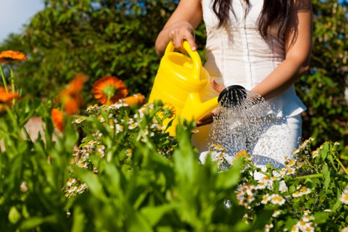 Accepted payment methods list for London gardening services